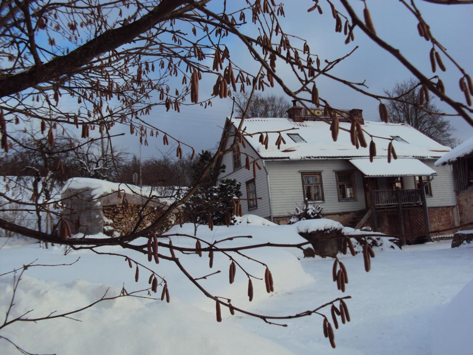 Saule Hotel Talsi Exterior photo